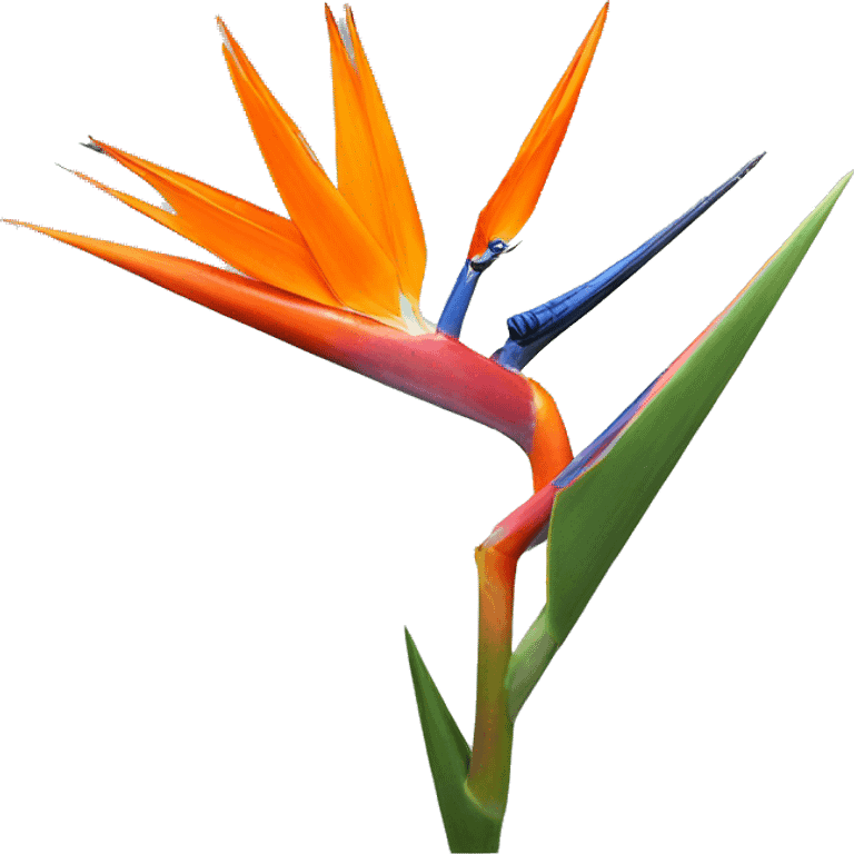 Strelitzia  emoji