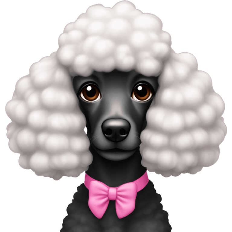 Crear un poodle negrito con un moñito rosado  emoji