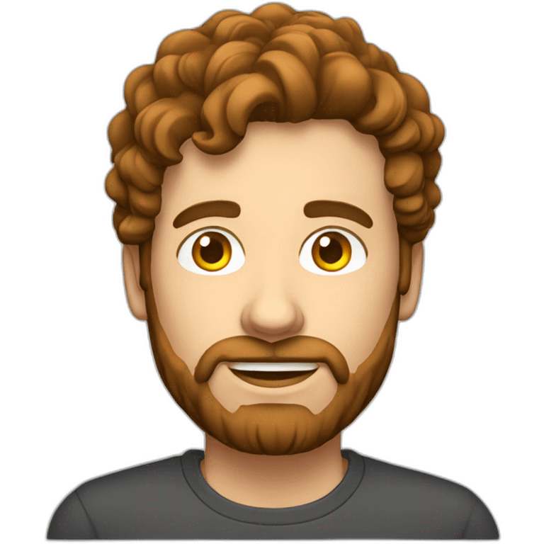 a guy with wavy brown hair and light beard typing on pc  emoji