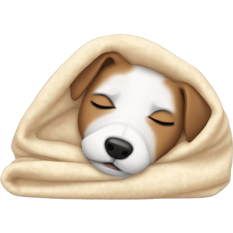 jack russel terrier sleeping cozy in blanket  emoji