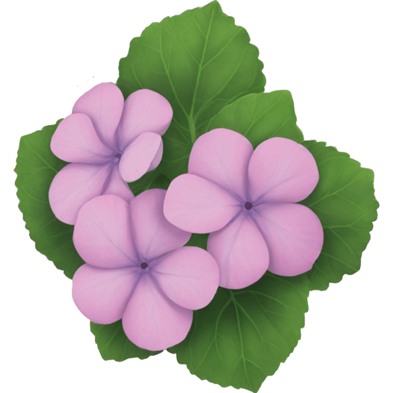 hortensia emoji