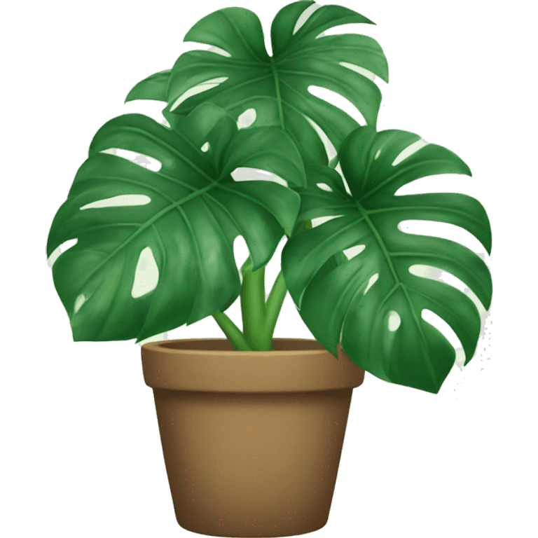 monstera plant  emoji