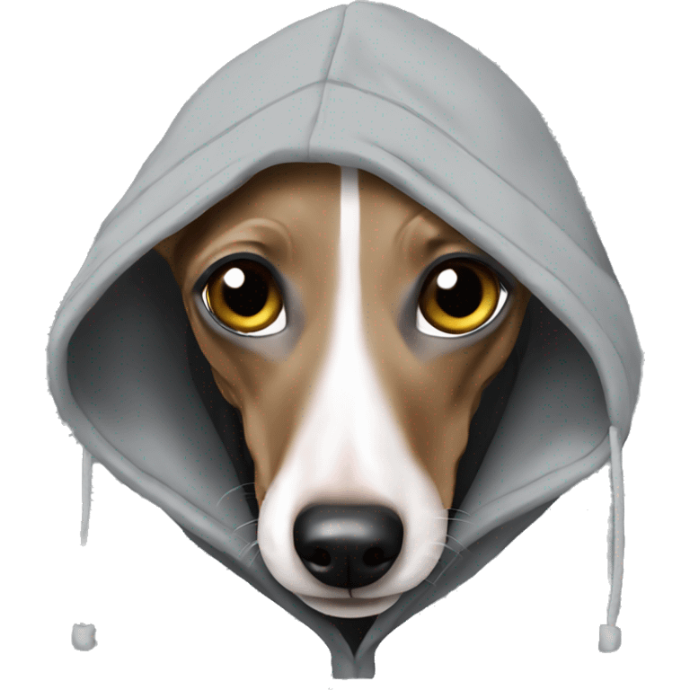 Italian greyhound with hoodie emoji