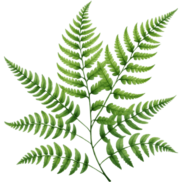 A close-up of a fern plant with intricate leaves, painted in soft watercolor greens with a subtle textured background.
 emoji