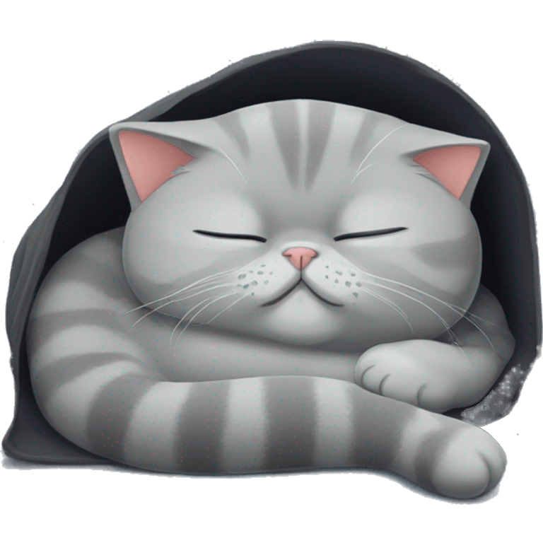 british shorthair cat sleep emoji