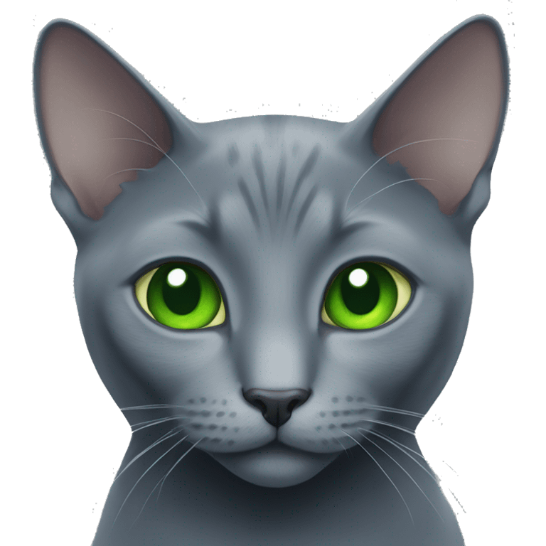 russian blue cat with green eyes  emoji