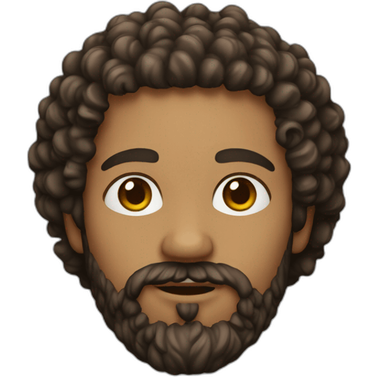 Man with beard, hazel eyes, curly hair emoji