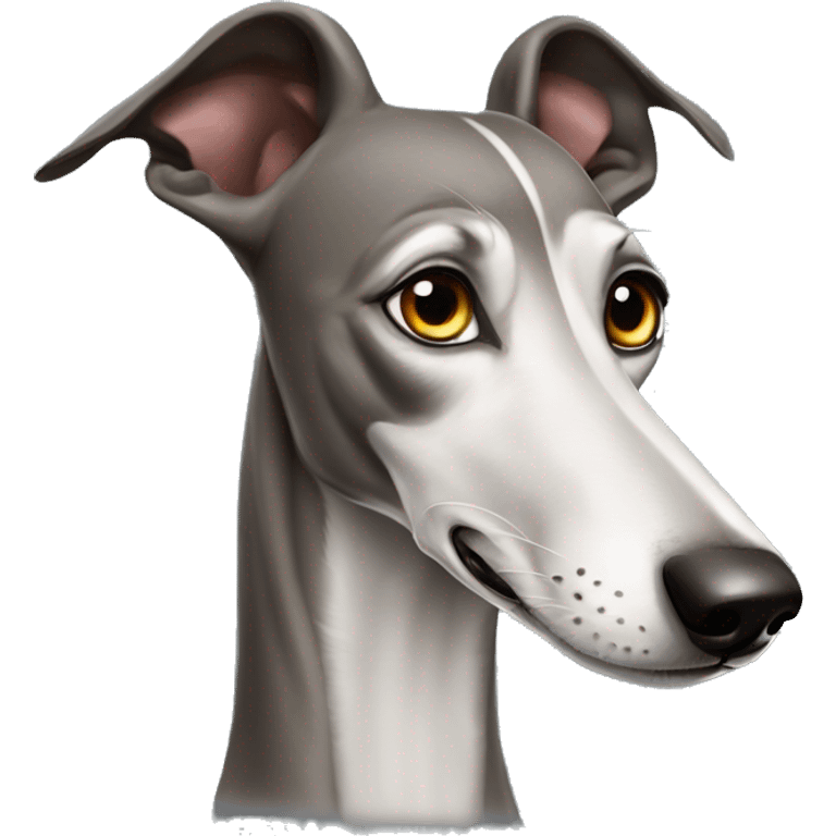 Russian greyhound dog with a very very long nose emoji