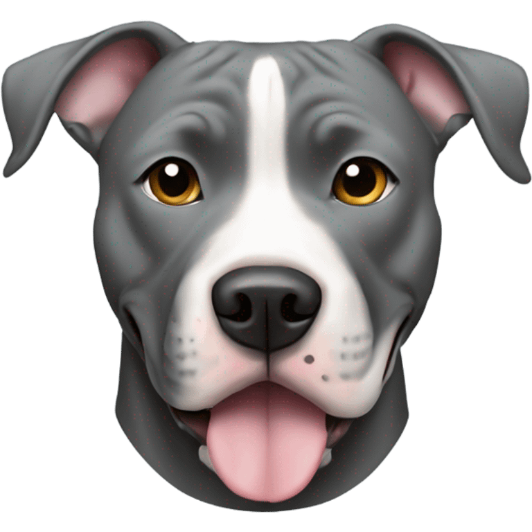 Gray pit bull wearing commander emoji