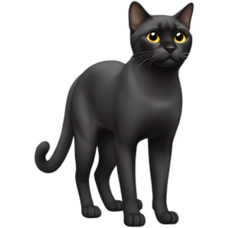 Black Burmese Cat Full Body emoji