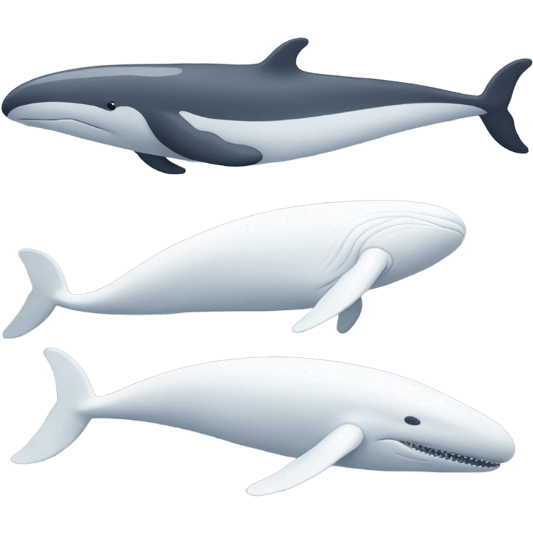 white whale , underside emoji