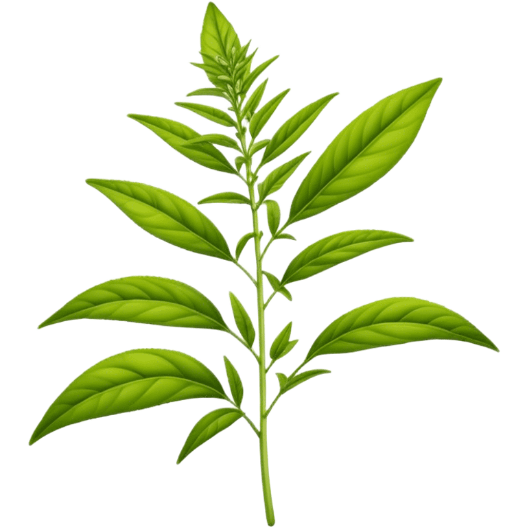 Lemon Verbena plant  emoji