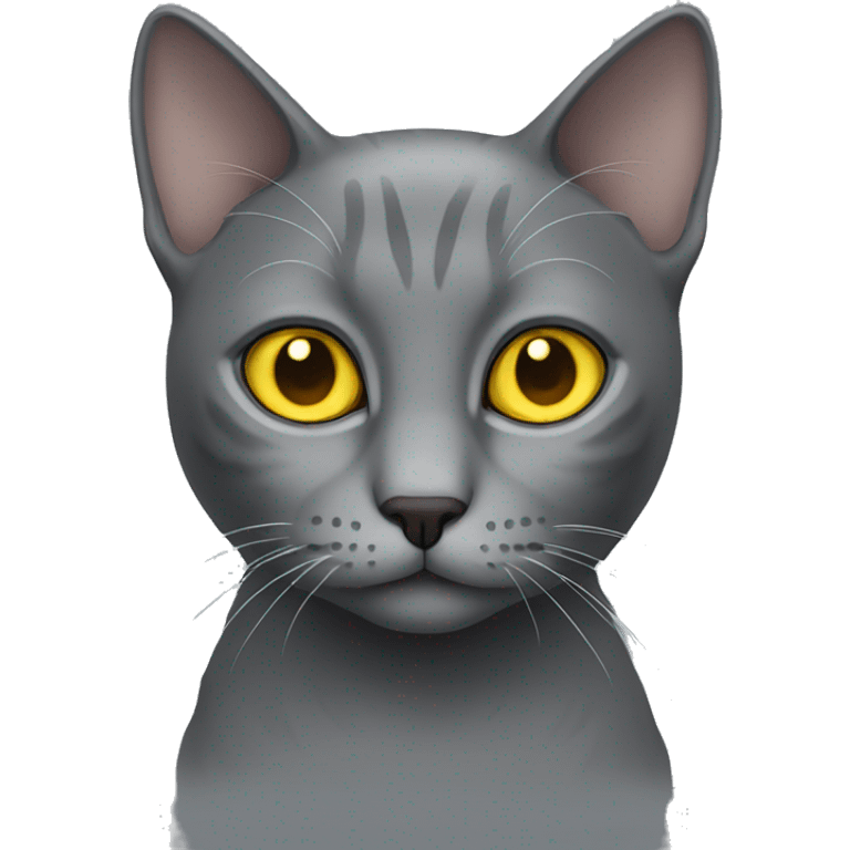 gray cat with yellow eyes emoji