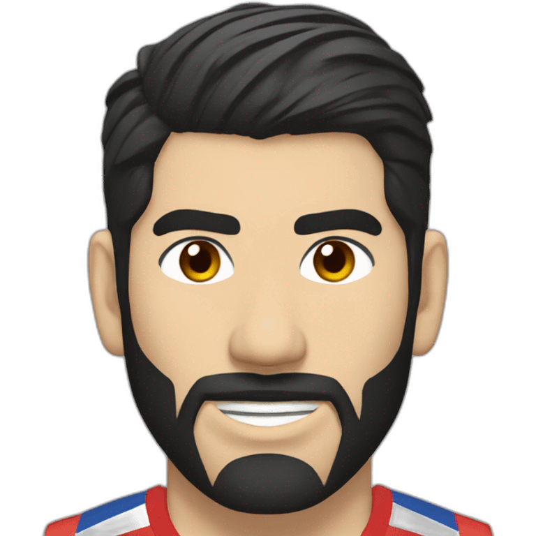 nikola karabatic emoji