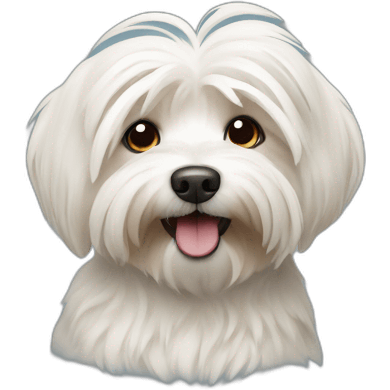 Havanese dog emoji