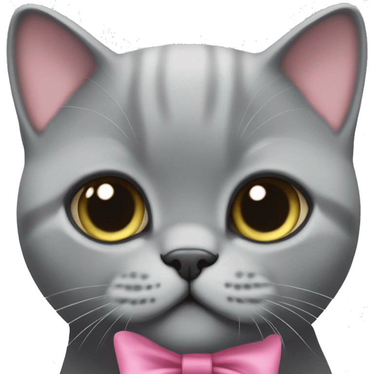 Grey british shorthair cute with pink bow on her head emoji