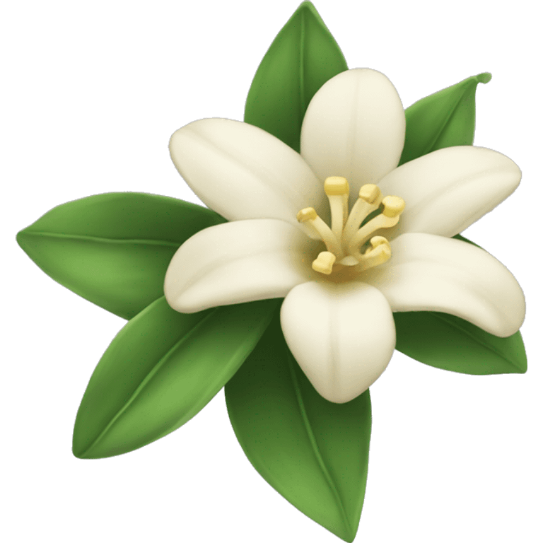 vanilla flower  emoji