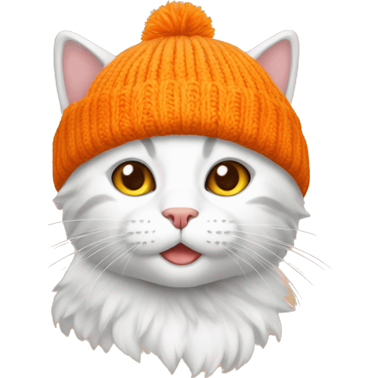 cat orange with beanie emoji