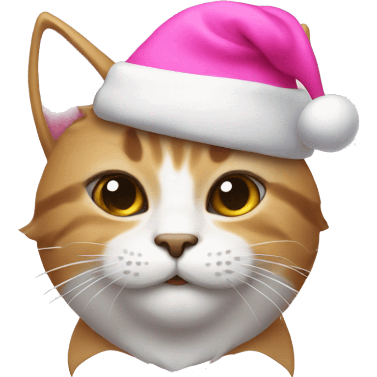 Cat with pink Santa hat  emoji