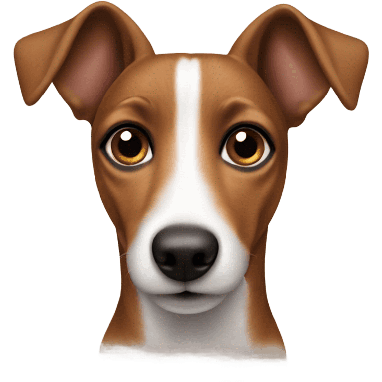 All Brown jack russel with pointy ears emoji