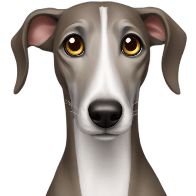 Galgo emoji