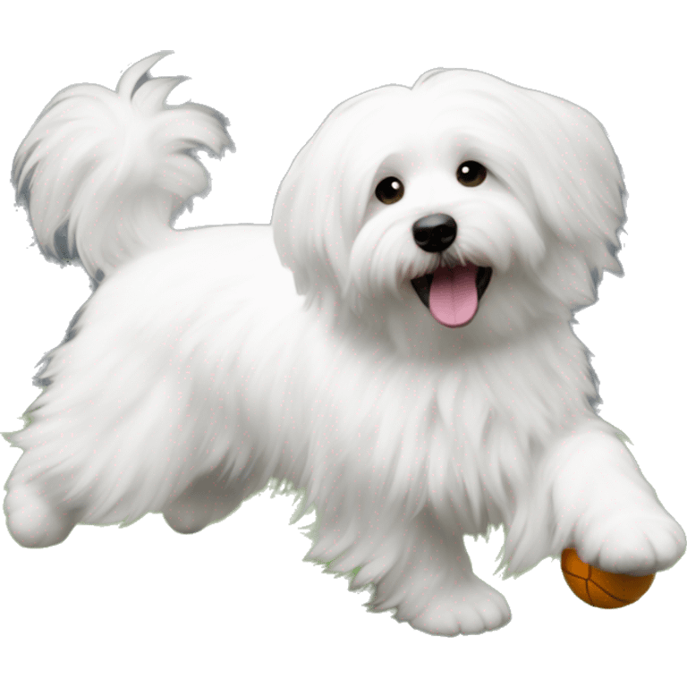 coton de tulear playing ball with grey ear emoji