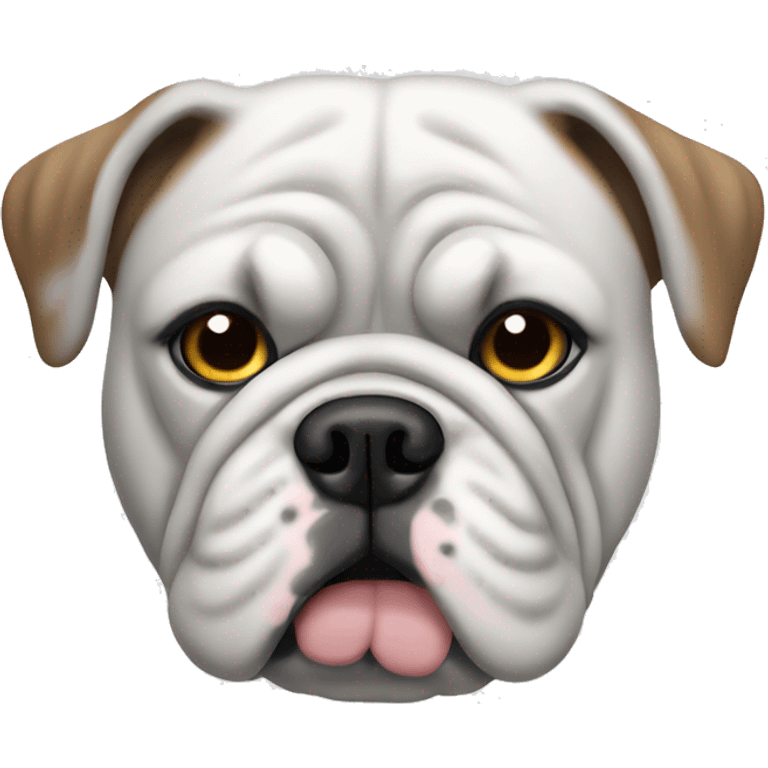 An English bulldog with a gray coat, gray patch over one eye, rest of his face white coat emoji