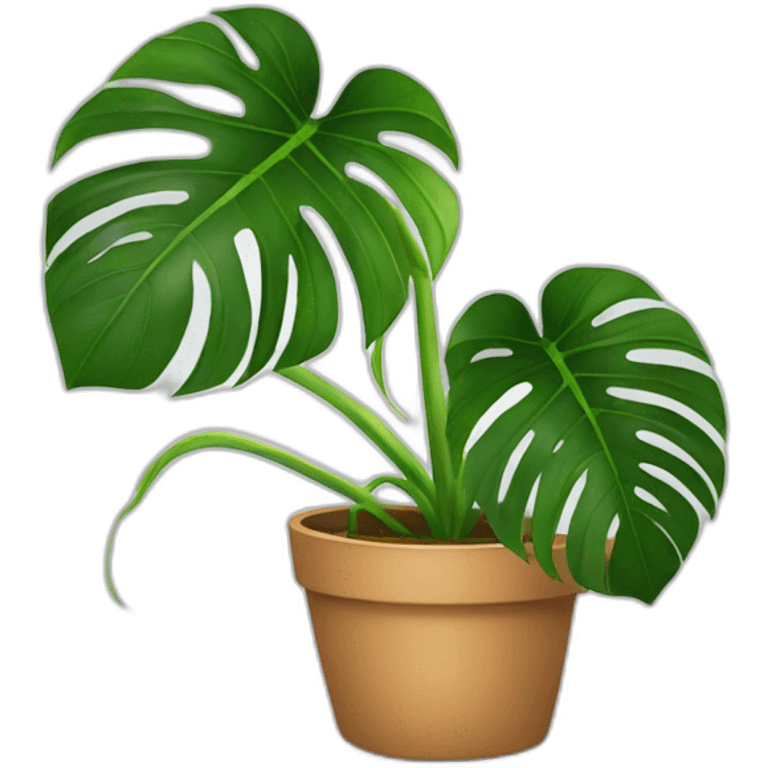 Monstera plant in pot emoji