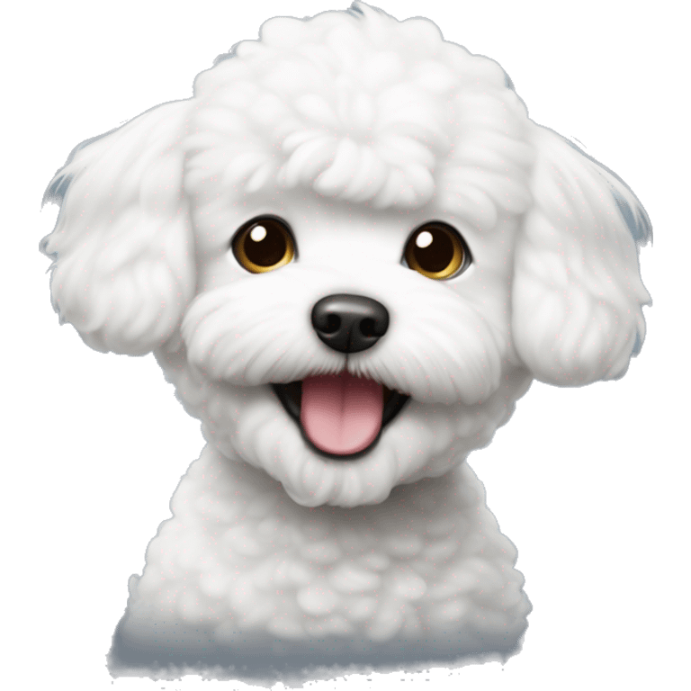 Bichon frisé smily playful face  emoji