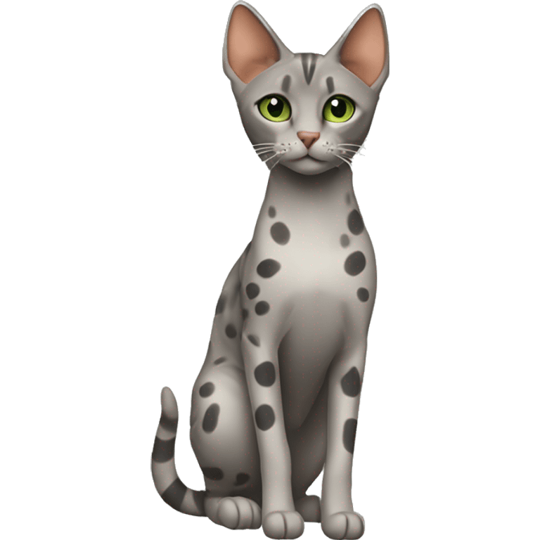 Short-haired oriental cat ,full body , grey coat with spots , green eyes , terracotta nuzzle emoji