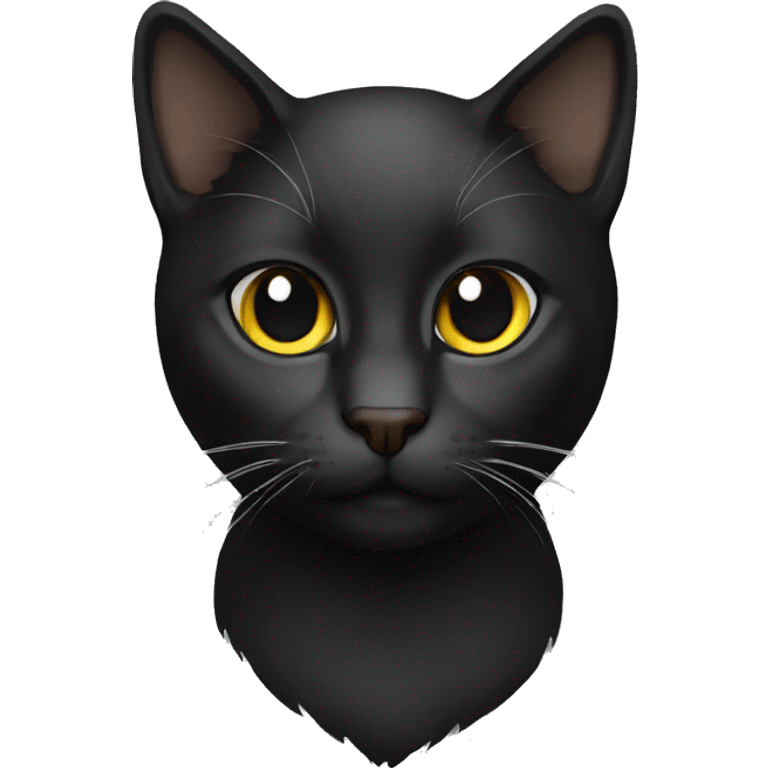 Cat black emoji