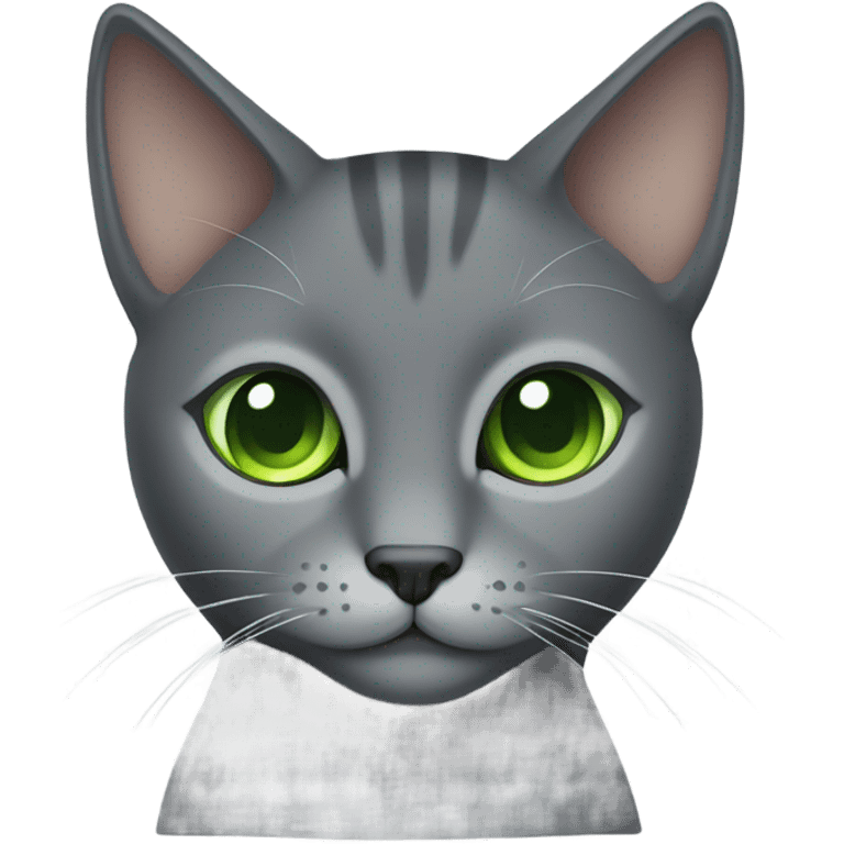 Gray cat emoji