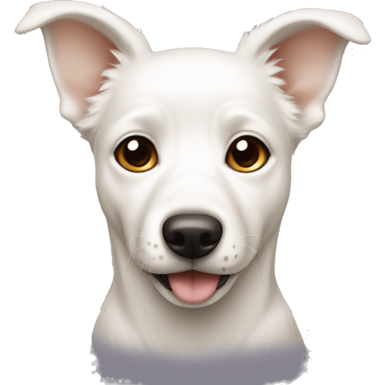 a white dog had beige colored ears emoji