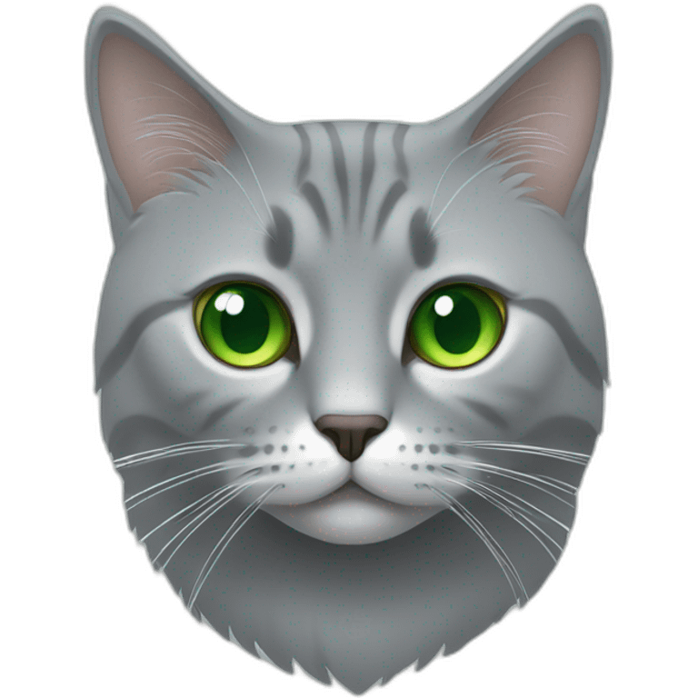 Un chat gris engora aux yeux vert emoji