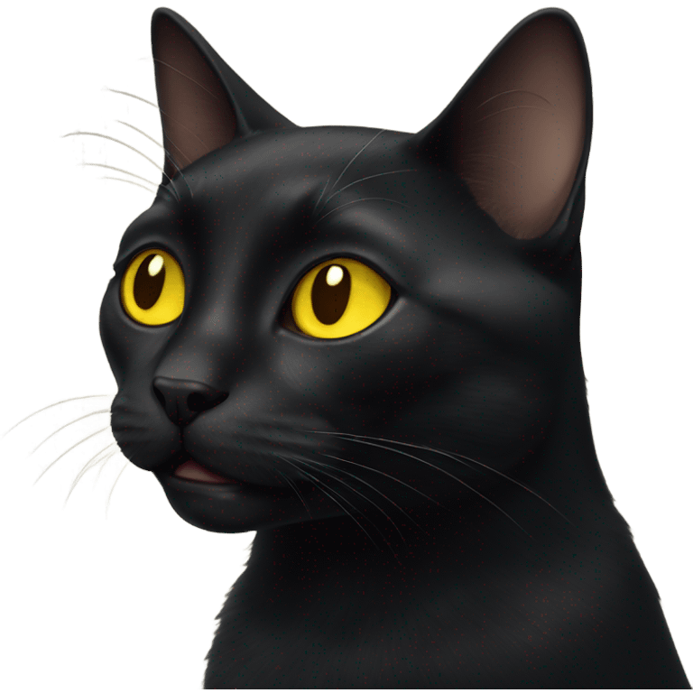 Black cat with yellow eyes emoji