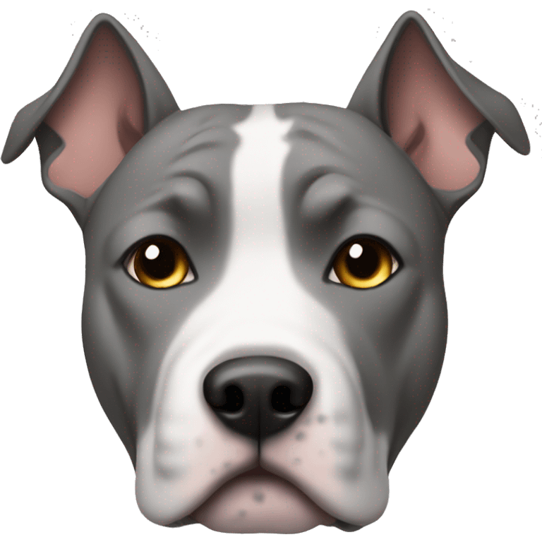 Gray amstaff with a white list emoji