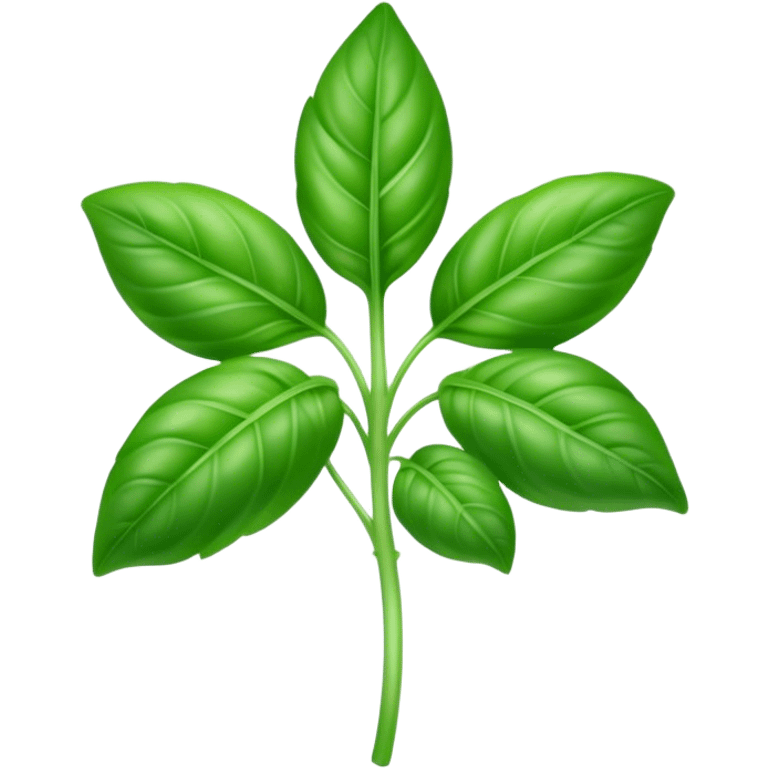 Cinematic Realistic Basil Emoji, Lush and fragrant, with vibrant green leaves that release a fresh, herbal aroma. The soft, glossy leaves are delicately arranged along slender stems, exuding vitality and flavor. Soft glowing outline, capturing the essence of freshness, growth, and aromatic delight in a blossoming basil plant! emoji