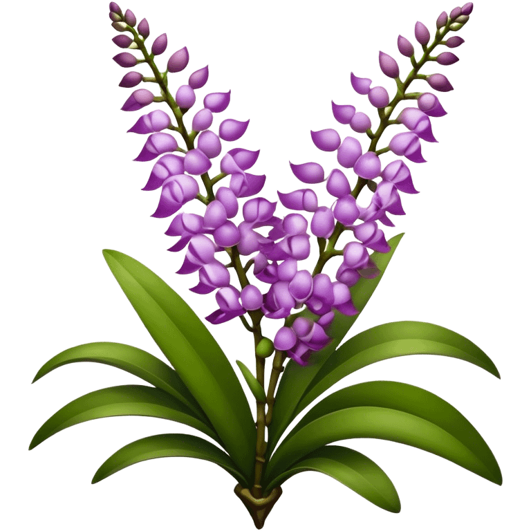 super big bouquet Rhynchostylis Orchid, stem, leaf emoji