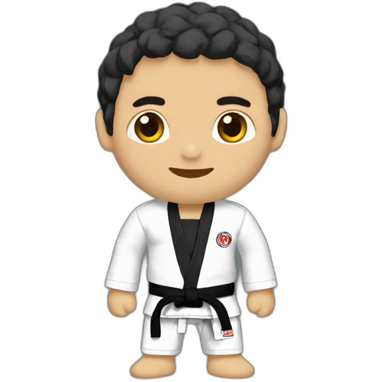 Jiu jitsu emoji