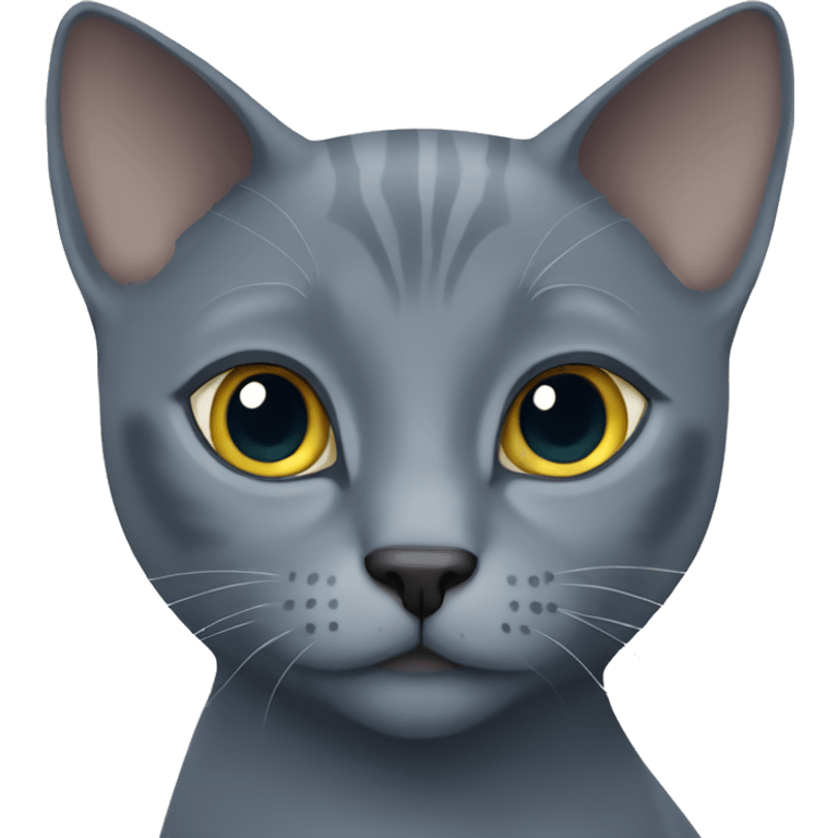 russian blue cat  emoji