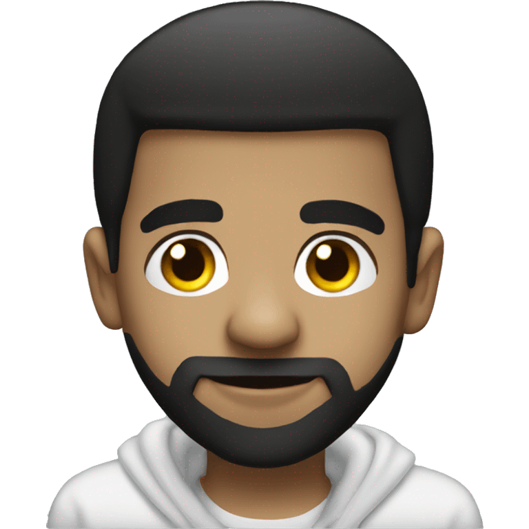 Drizzy drake emoji