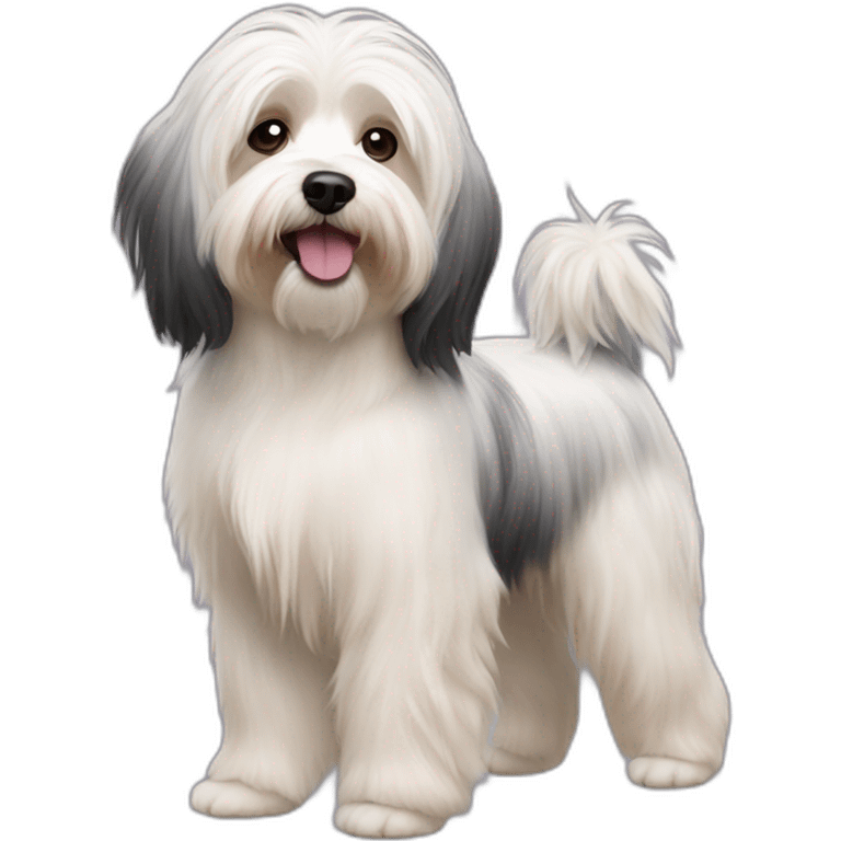 Dog havanese full height emoji