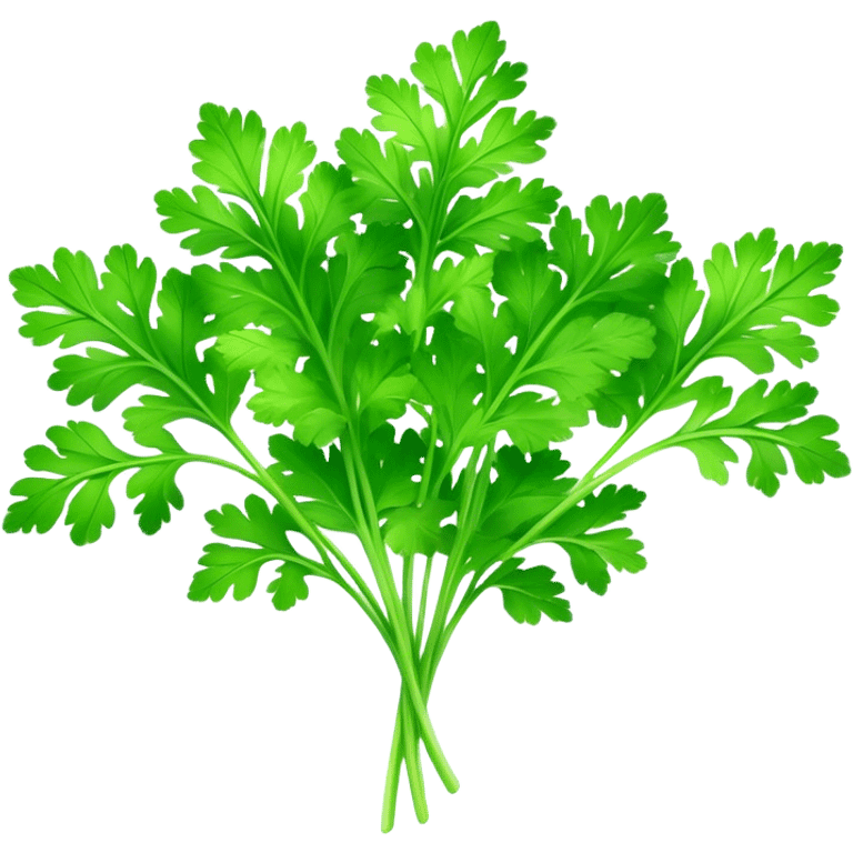 Cinematic Realistic Parsley Emoji, Fresh and vibrant, with bright green, frilly leaves that seem to shimmer with vitality. The plant exudes a sense of healthy growth and aromatic zest, inviting both beauty and flavor into any dish. Soft glowing outline, capturing the essence of freshness, health, and culinary delight in a sprig of parsley! emoji