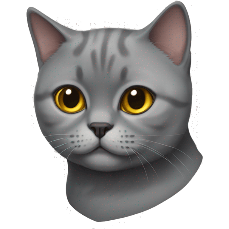 British shorthair cat emoji