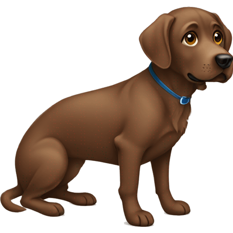 Brown Labrador sitting  emoji