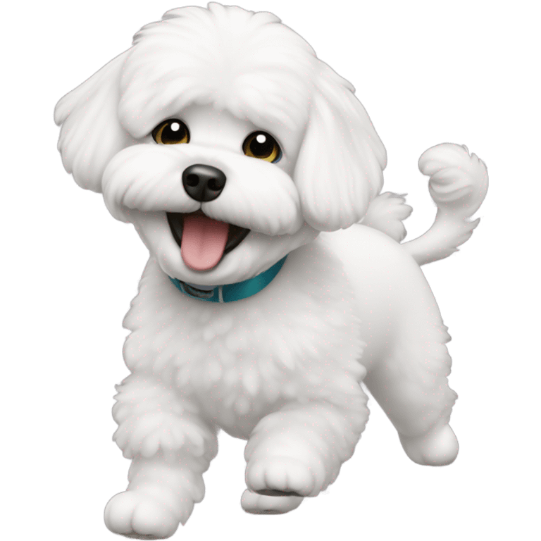 Bichon dancing  emoji