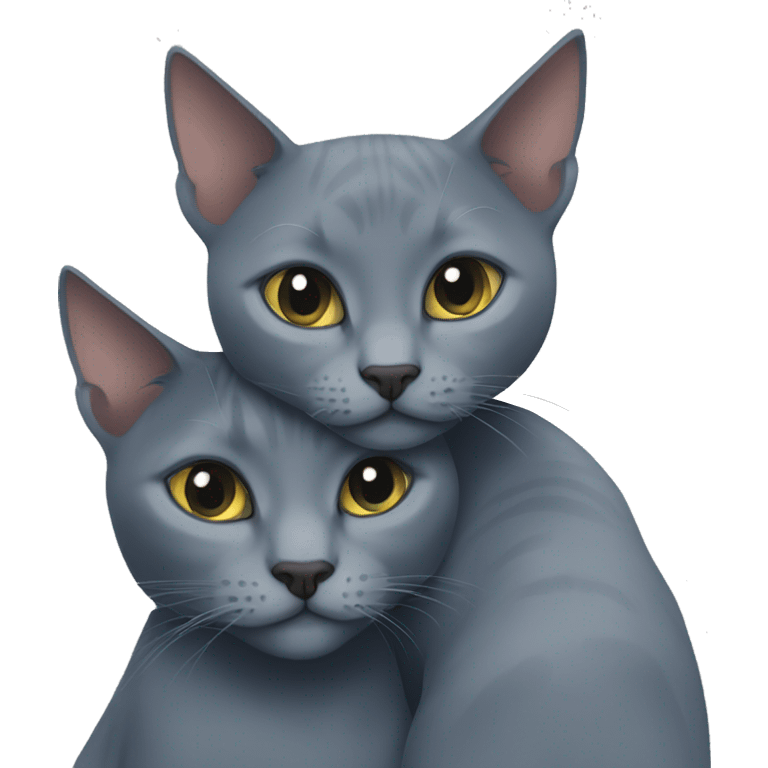 Two Russian Blue cats cuddle  emoji