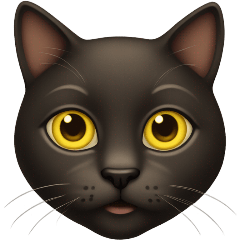 Dark brown cat with yellow eyes  emoji