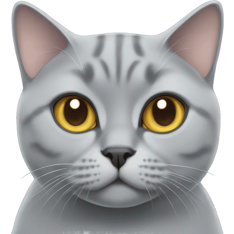 Grey British shorthair cat  emoji