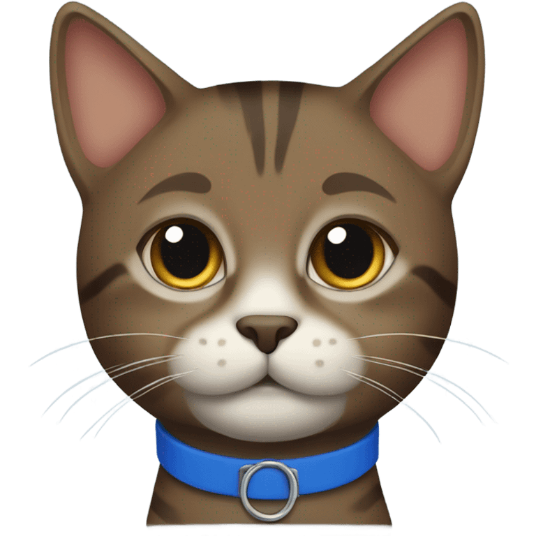 Dark brown Tabby cat blue collar emoji